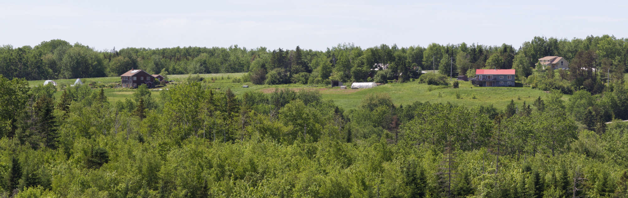 Panoramic view of Lorax Woodlands